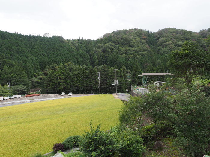 曇り時々雨_c0116915_23520892.jpg