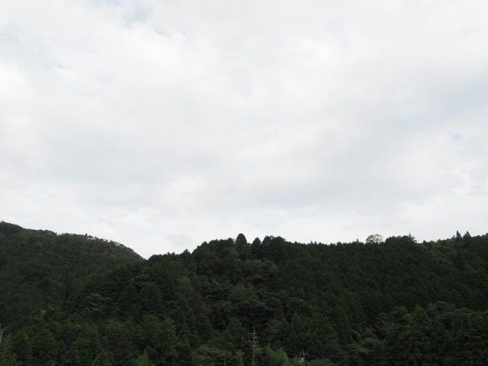 曇り時々雨_c0116915_23524777.jpg
