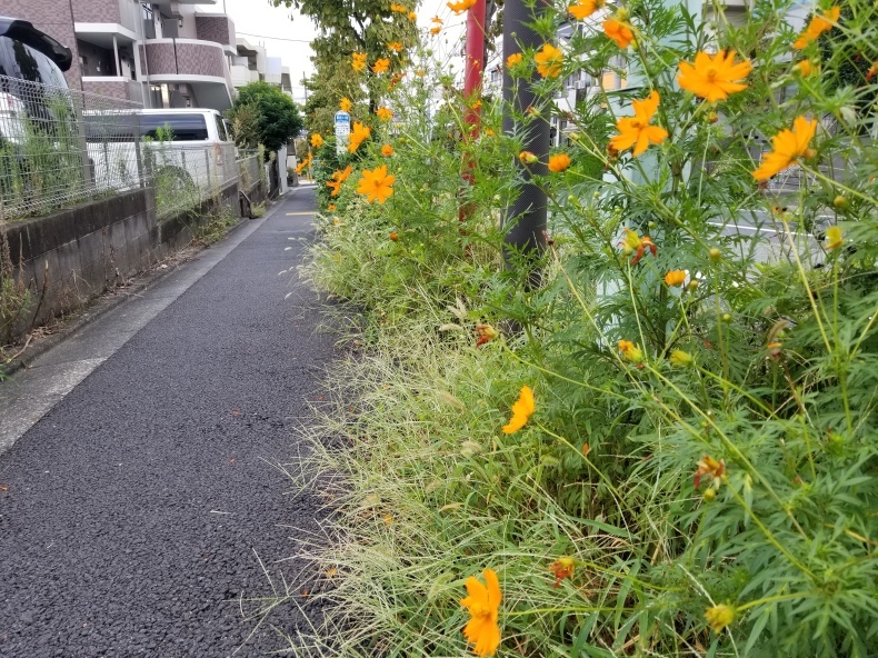 デカダンな万葉詩人_e0016828_11575686.jpg