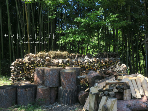 土ころ-長野の旅2021-_e0394031_06403174.jpg