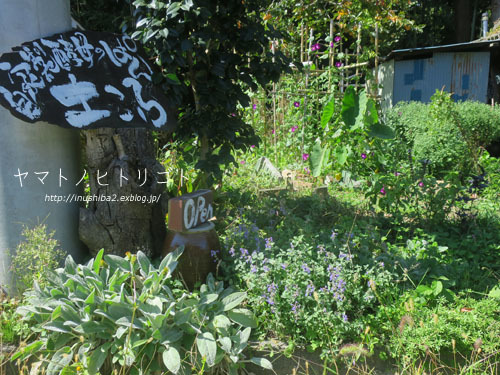 土ころ-長野の旅2021-_e0394031_06404125.jpg