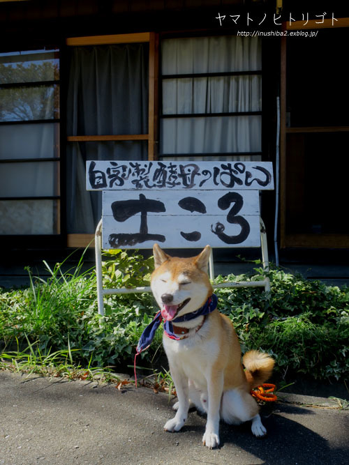 土ころ-長野の旅2021-_e0394031_06405488.jpg