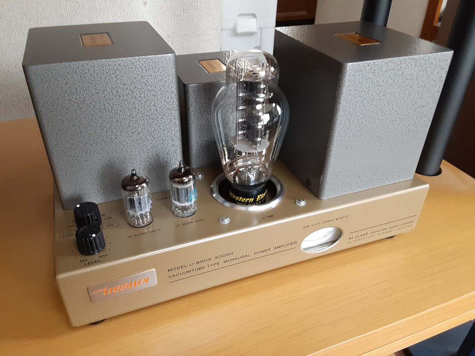 UESUGI 300AH / Western Electric 300B仕様_b0350085_20360086.jpg