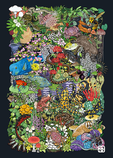 グッズ登録しました『有毒動植綵絵』_b0314286_10224313.jpg