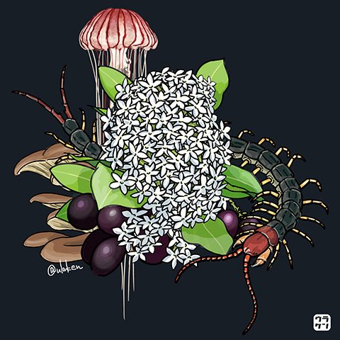 グッズ登録しました『有毒動植綵絵』_b0314286_10432011.jpg
