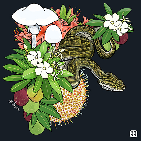グッズ登録しました『有毒動植綵絵』_b0314286_10432193.jpg