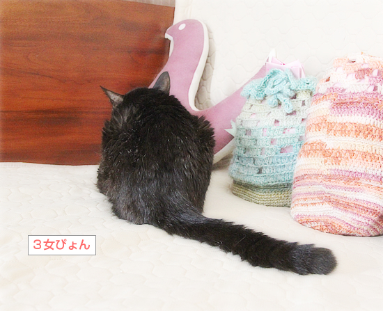 18歳と1歳半_a0389088_11225900.jpg