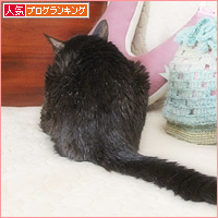 18歳と1歳半_a0389088_11225962.jpg