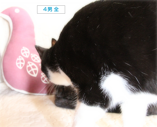 18歳と1歳半_a0389088_11225992.jpg