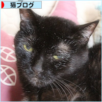 18歳と1歳半_a0389088_11230095.jpg