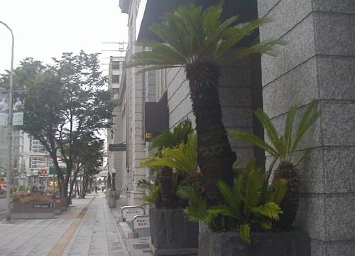 ●撮り鉄の轍踏み蘇鉄読み耽り、その27_d0053294_00223467.jpg