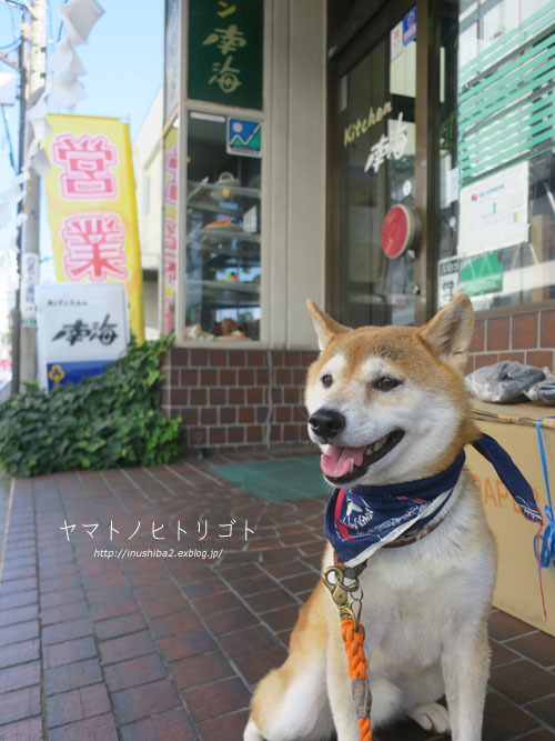 小松の牛乳パン-長野の旅2021-_e0394031_06384910.jpg