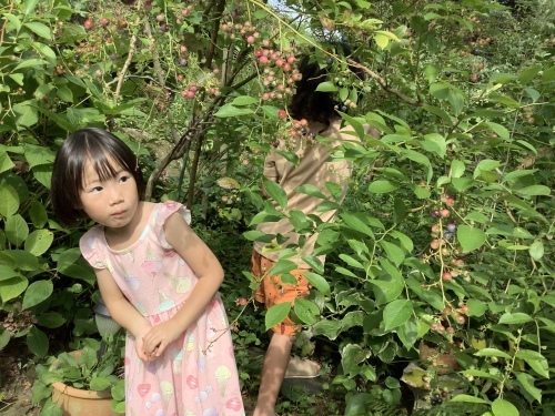 孫の記録〜2022年前半_d0336460_01154075.jpeg