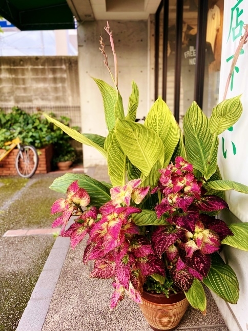 Battenwear × 店長スタイル ★★_d0152280_19515955.jpeg