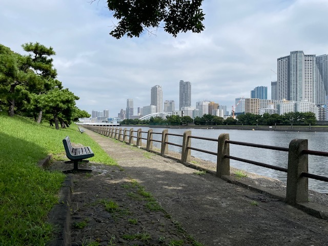 キバナコスモスを見に浜離宮へ♪　「私たちのベンチ」に座ってきたよ♪_b0287088_20580375.jpg