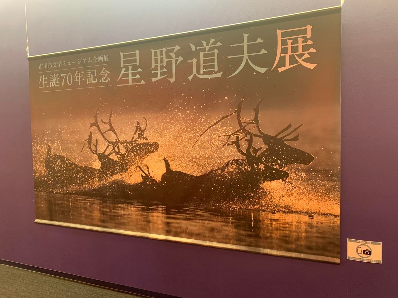 星野道夫展_f0346597_11115653.jpg
