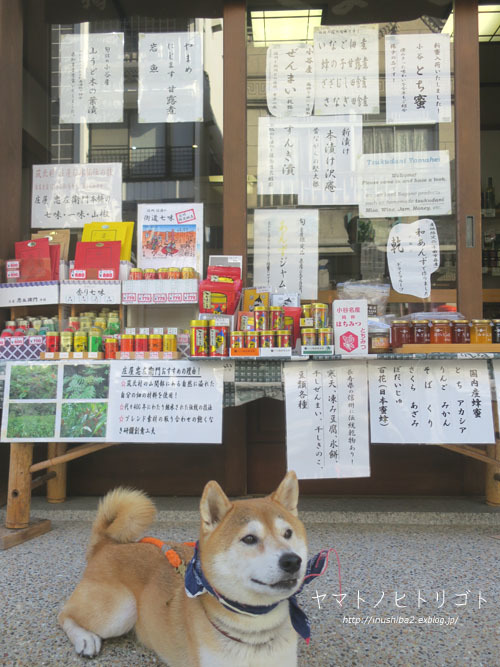 中町通り-長野の旅2021-_e0394031_06235541.jpg