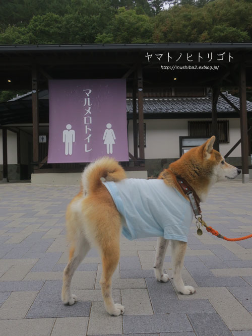 マルメロの駅-長野の旅2021-_e0394031_17581610.jpg
