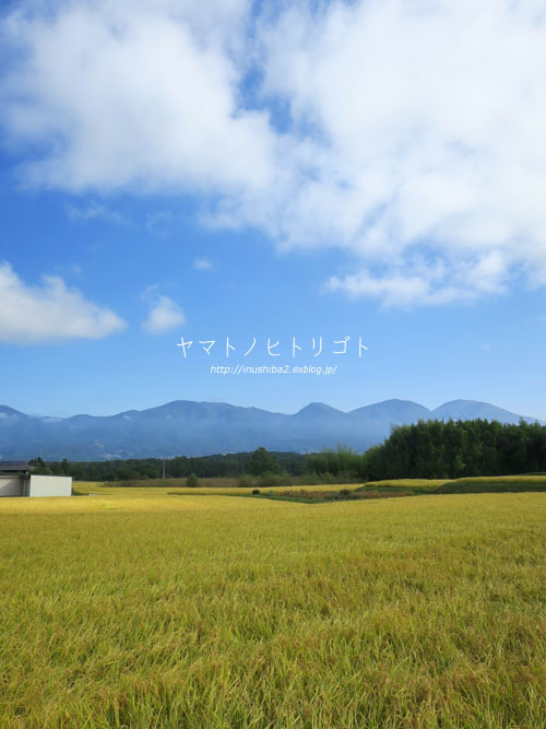 東御の景色-長野の旅2021-_e0394031_17582402.jpg