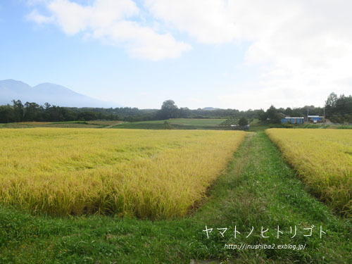 東御の景色-長野の旅2021-_e0394031_17583019.jpg