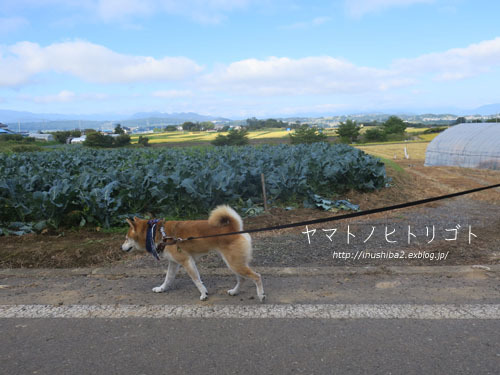 東御の景色-長野の旅2021-_e0394031_17583345.jpg