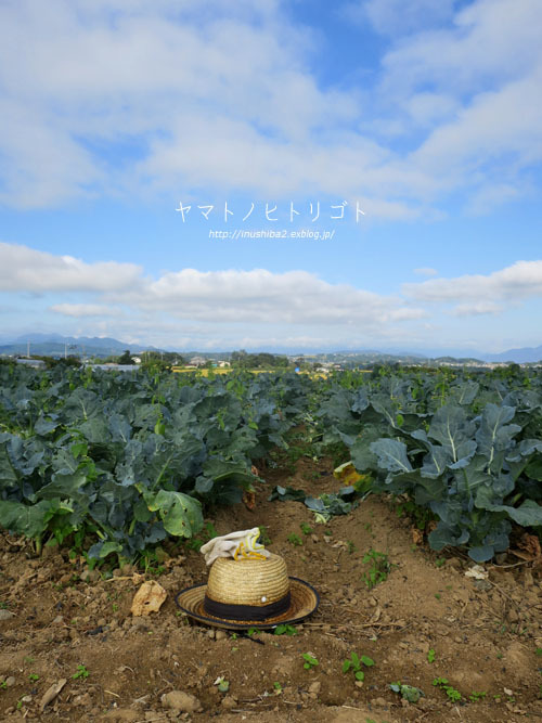 東御の景色-長野の旅2021-_e0394031_17583586.jpg
