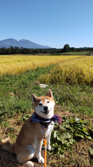 東御の景色-長野の旅2021-_e0394031_17584067.jpg
