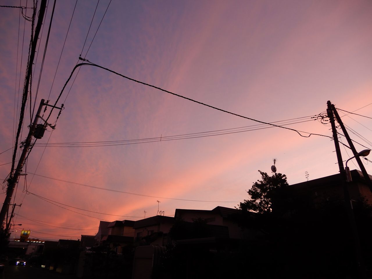 忙しく夏から秋へ_c0025115_21120286.jpg