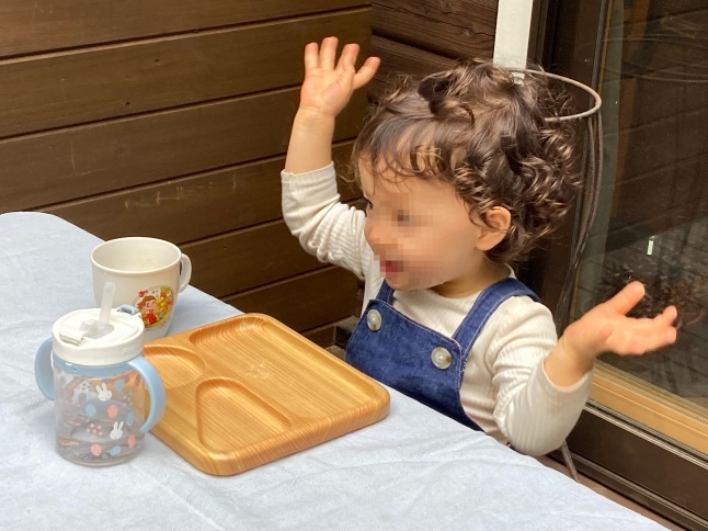 Grandmaの来日 初対面の孫ひめちゃま_d0348118_16391292.jpeg