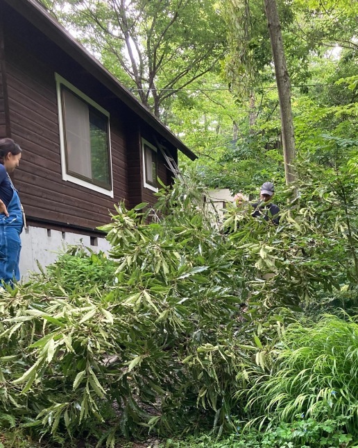 Grandmaの来日 初対面の孫ひめちゃま_d0348118_17251478.jpeg