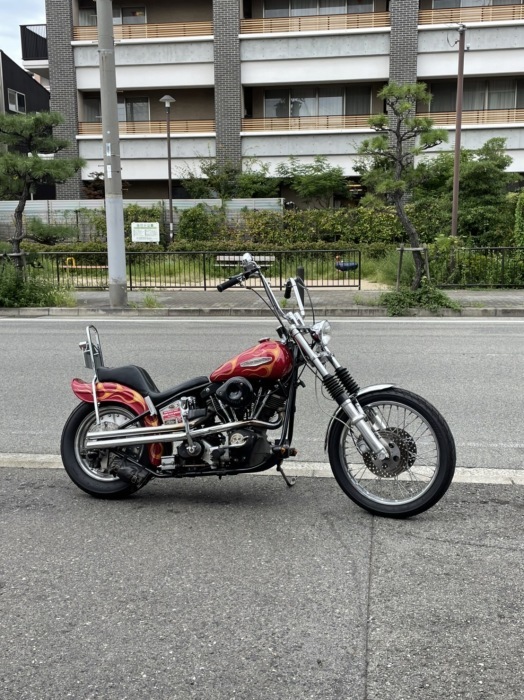 Harley Davidson Custom_b0160319_16353330.jpg