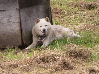 みなさん珍しいと言っていたので載せてみました_b0405523_01123518.jpg