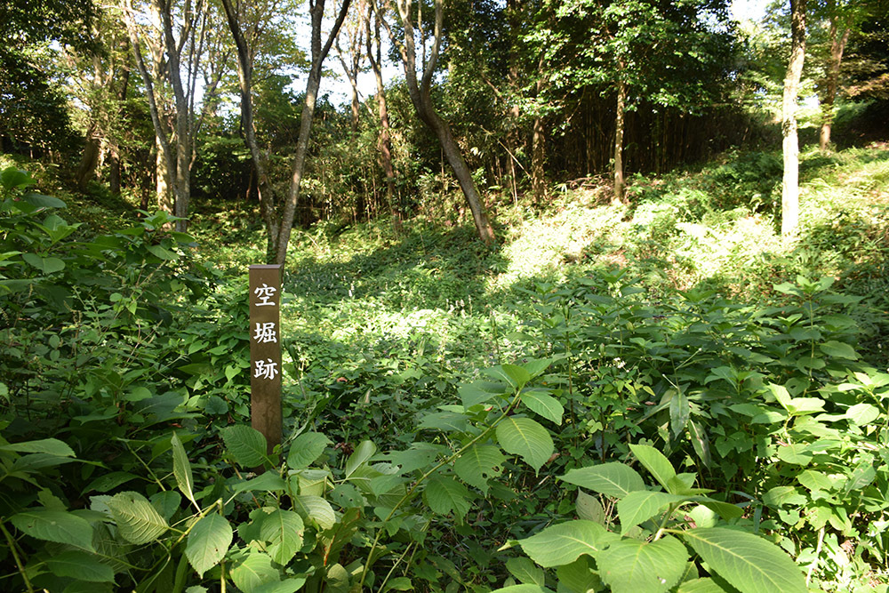 近江水口岡山城跡攻城記。 その3 <二ノ丸・三ノ丸・出丸>_e0158128_12315256.jpg