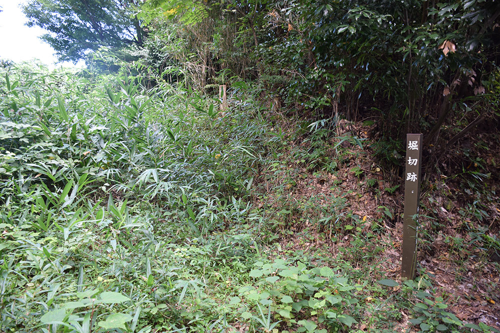 近江水口岡山城跡攻城記。 その3 <二ノ丸・三ノ丸・出丸>_e0158128_12523310.jpg