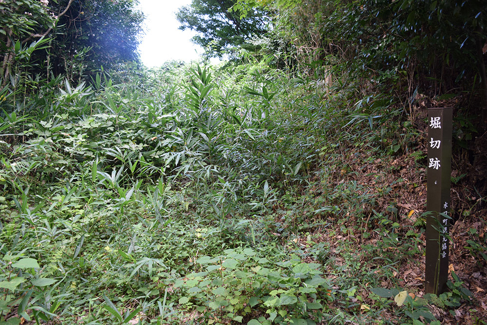 近江水口岡山城跡攻城記。 その3 <二ノ丸・三ノ丸・出丸>_e0158128_12523870.jpg