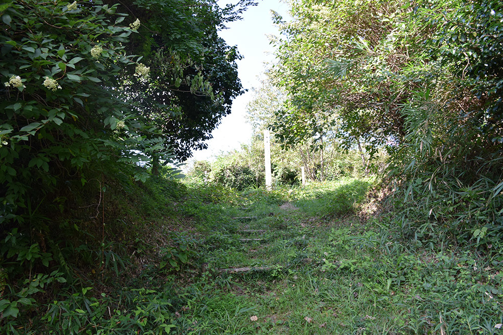 近江水口岡山城跡攻城記。 その3 <二ノ丸・三ノ丸・出丸>_e0158128_12542745.jpg