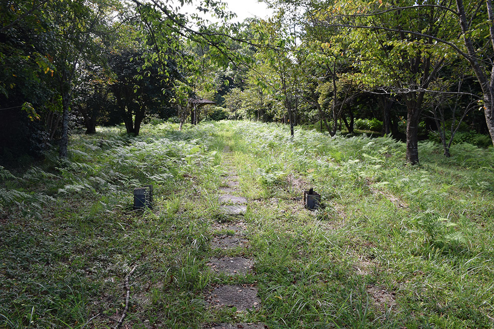 近江水口岡山城跡攻城記。 その3 <二ノ丸・三ノ丸・出丸>_e0158128_12585518.jpg