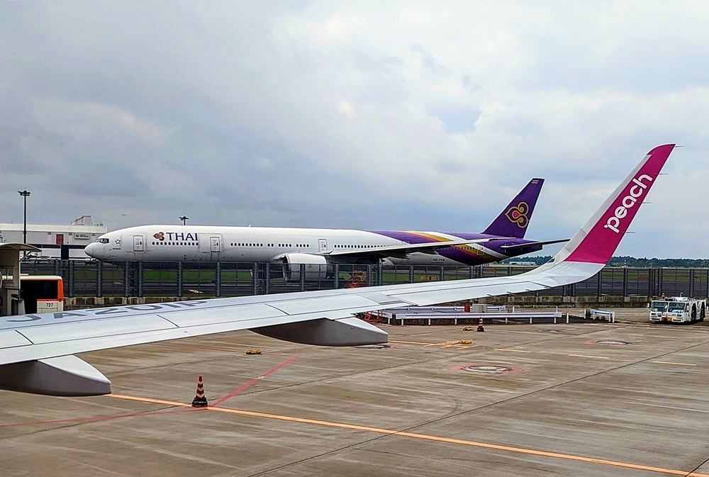 母の肖像 2022年6月_d0039059_07033200.jpg