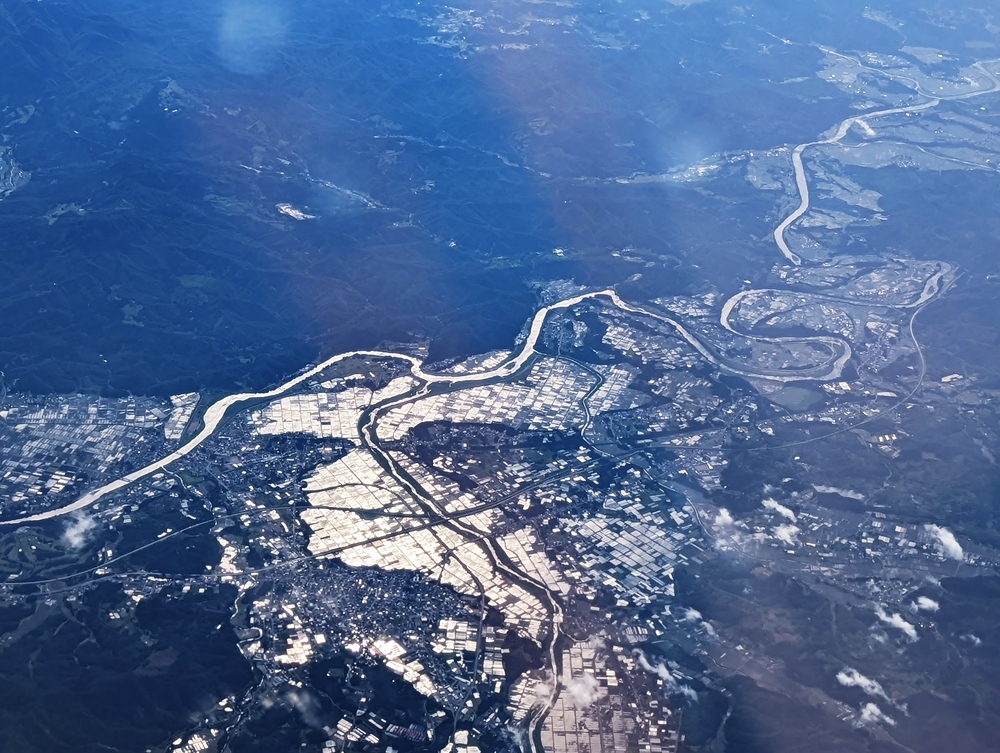 母の肖像 2022年6月_d0039059_07185267.jpg