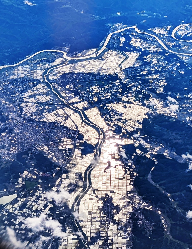 母の肖像 2022年6月_d0039059_07190561.jpg