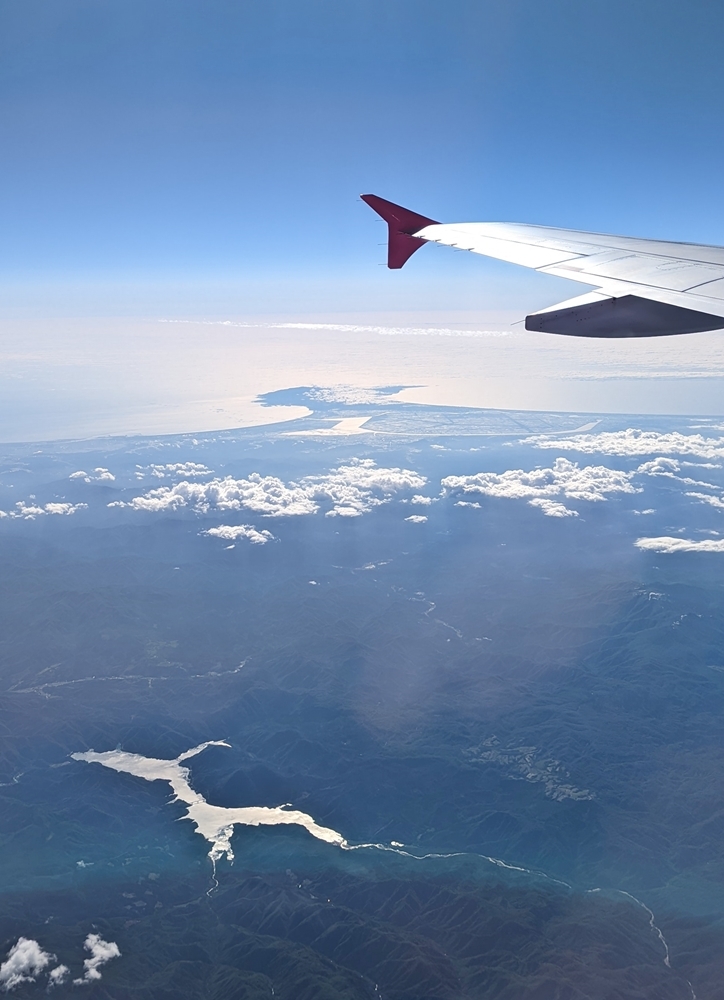母の肖像 2022年6月_d0039059_07200746.jpg