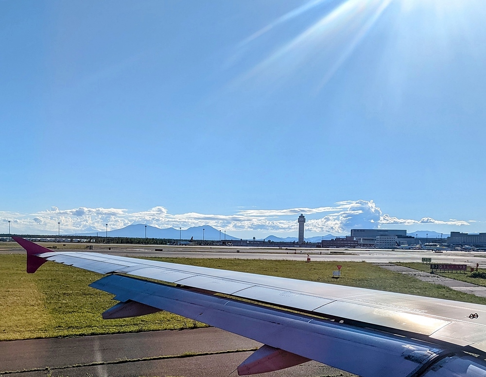 母の肖像 2022年6月_d0039059_07371988.jpg