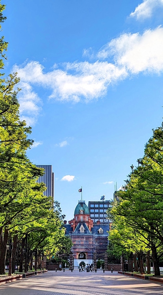 母の肖像 2022年6月_d0039059_07391535.jpg