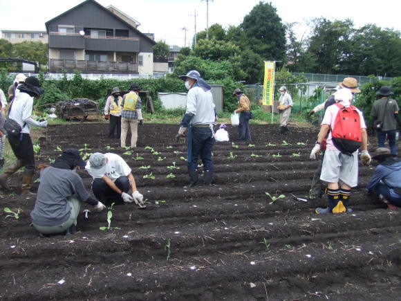 2022年9月度　菜の花体験教室_c0145581_17084851.jpg