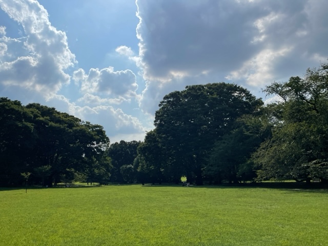 9月の公園で　　　2022，9，4（砧公園）_b0066502_17520619.jpg