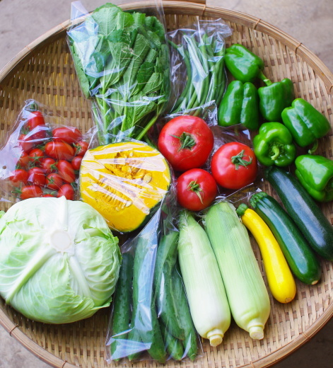 今週の野菜セット（9/6～9/10着）_c0110869_12364146.jpg
