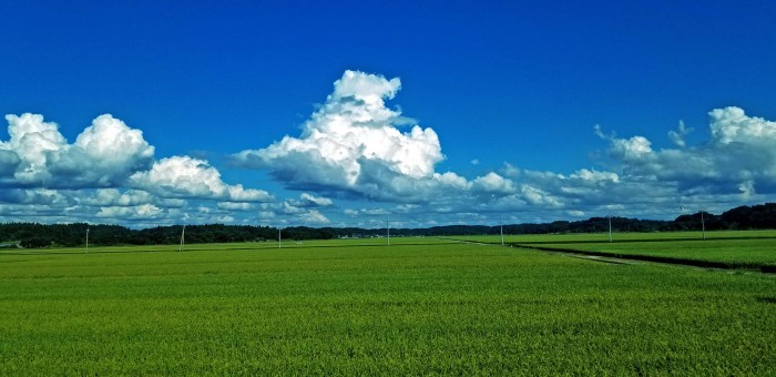 夏空_f0173596_22355027.jpg