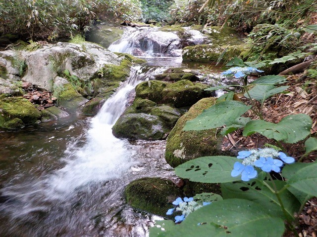 安達太良山　赤留川を遡行して中ノ沢川を沢下り（後編）　　　　　Stream Climbing at Nakanosawagawa in Mount Adatara, Bandai-Asahi NP_f0308721_14415580.jpg