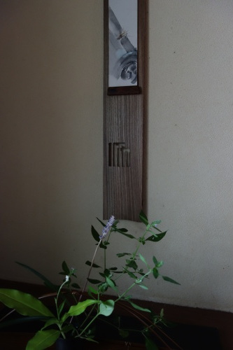 晩夏の花達と吉田佳道さんの花籠_a0197730_14315223.jpg