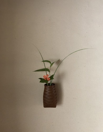 晩夏の花達と吉田佳道さんの花籠_a0197730_15020580.jpeg